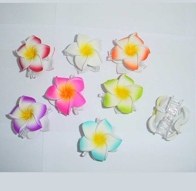 PINCE A CHEVEUX 2 FLEURS DE FRANGIPANIER