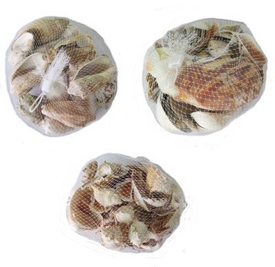 COQUILLAGES EN FILET