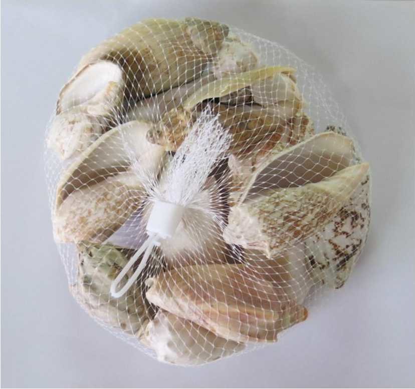 COQUILLAGES EN FILET, Modèles: Conques