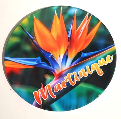 DESSOUS DE PLAT MARTINIQUE - REEL OISEAU PARADIS