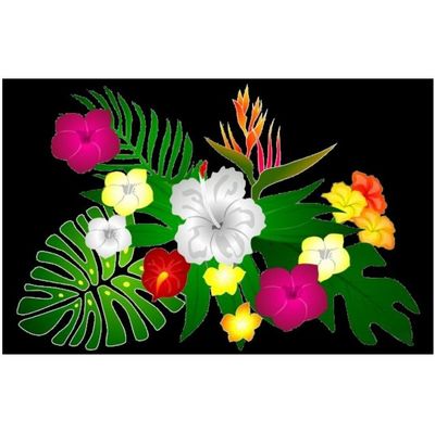 PAREO HIBISCUS+OISEAU DE PARADIS MARTINIQUE - NOIR