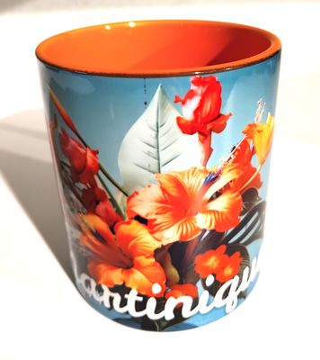 CHOPE BICOLORE MARTINIQUE - ORANGE HIBISCUS 2026