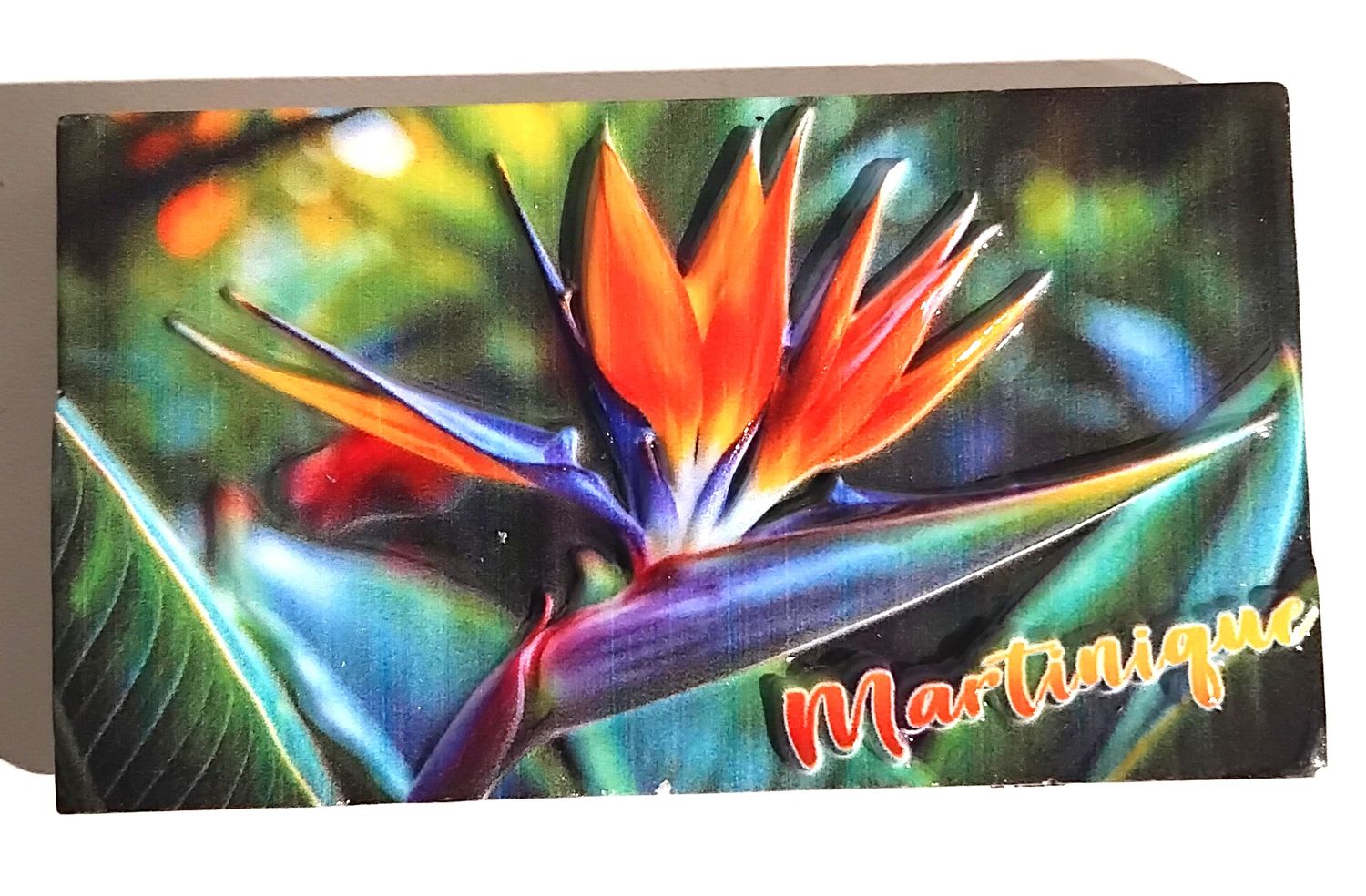 AIMANT RESINE MARTINIQUE - REEL OISEAU PARADIS