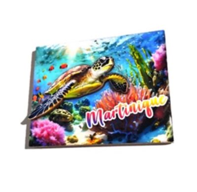 AIMANT 3D BOIS - TORTUE POISSON