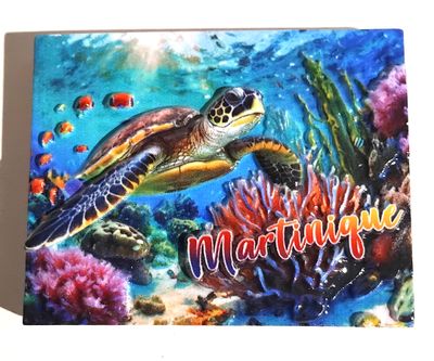 AIMANT RESINE MARTINIQUE - TORTUE POISSON