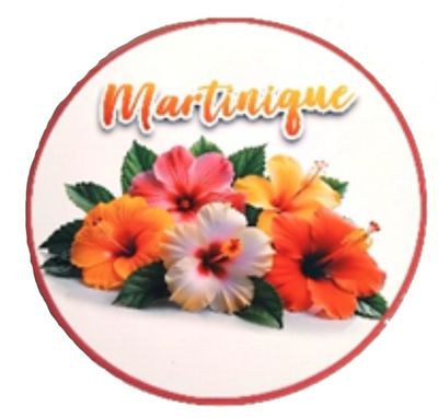 DESSOUS DE PLAT MARTINIQUE  - 5 HIBISCUS