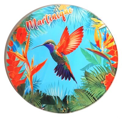 DESSOUS DE PLAT EN VERRE MARTINIQUE  - COLIBRI AILES ROUGES ROND