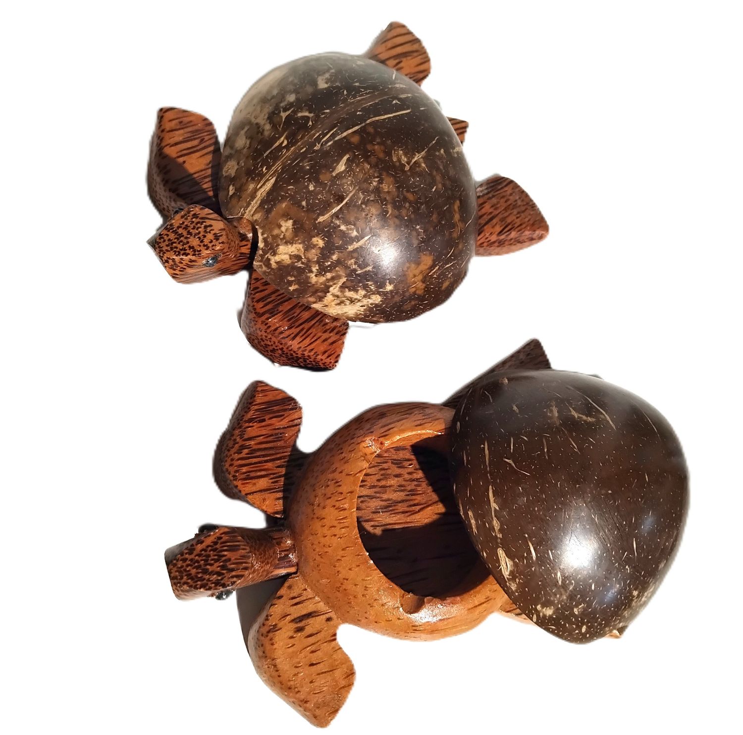 CENDRIER BOIS TORTUE