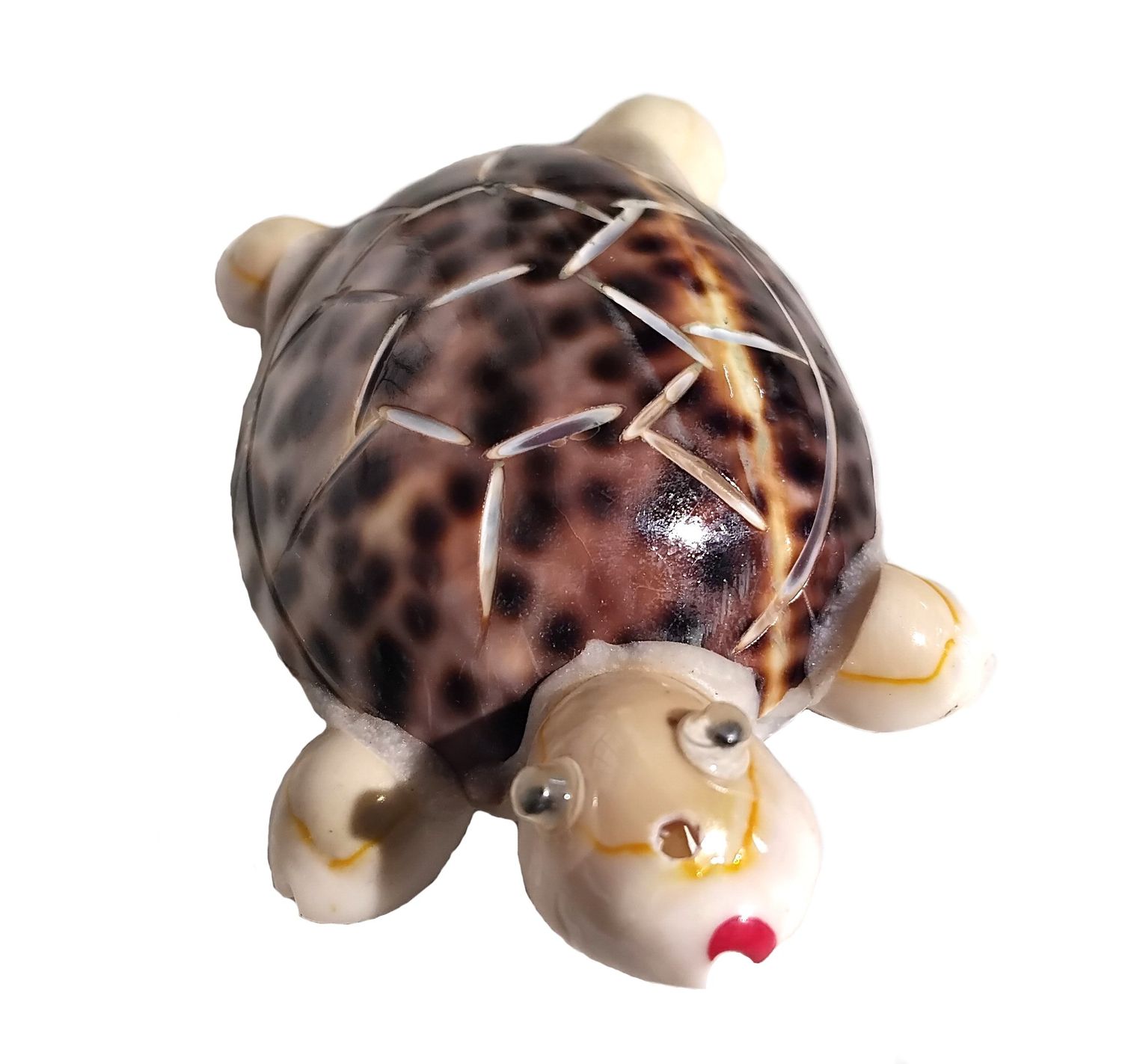 AIMANT TORTUE COQUILLAGE