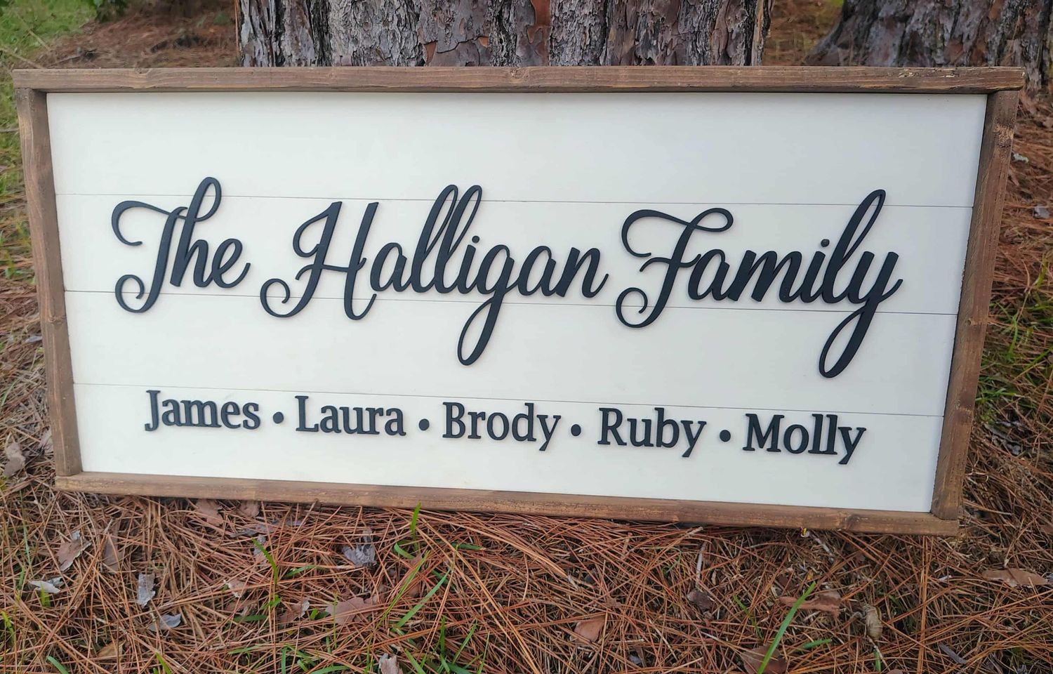 Shiplap Framed Family Name Wall Sign