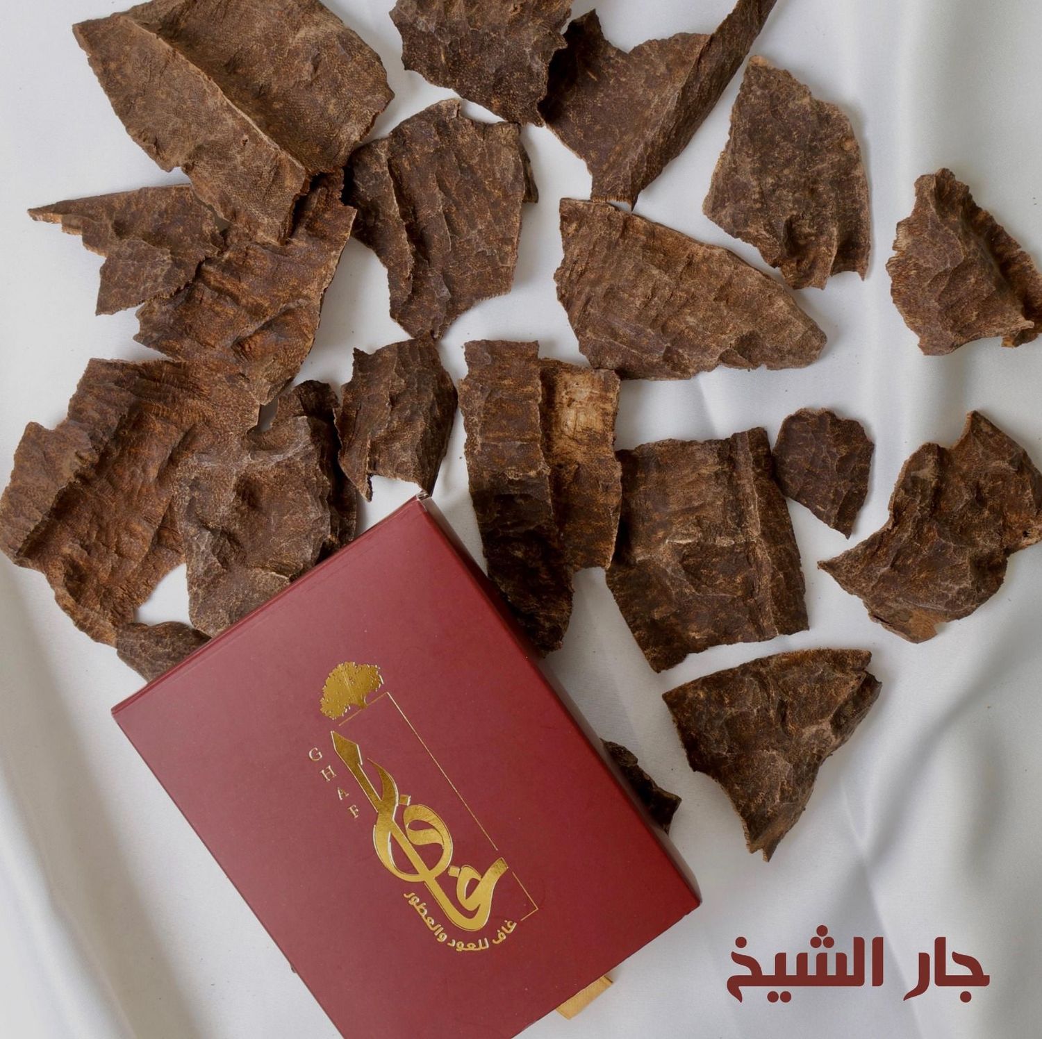 جار الشيخ