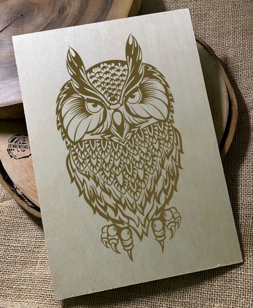 plakat eco #SOWA A4_003