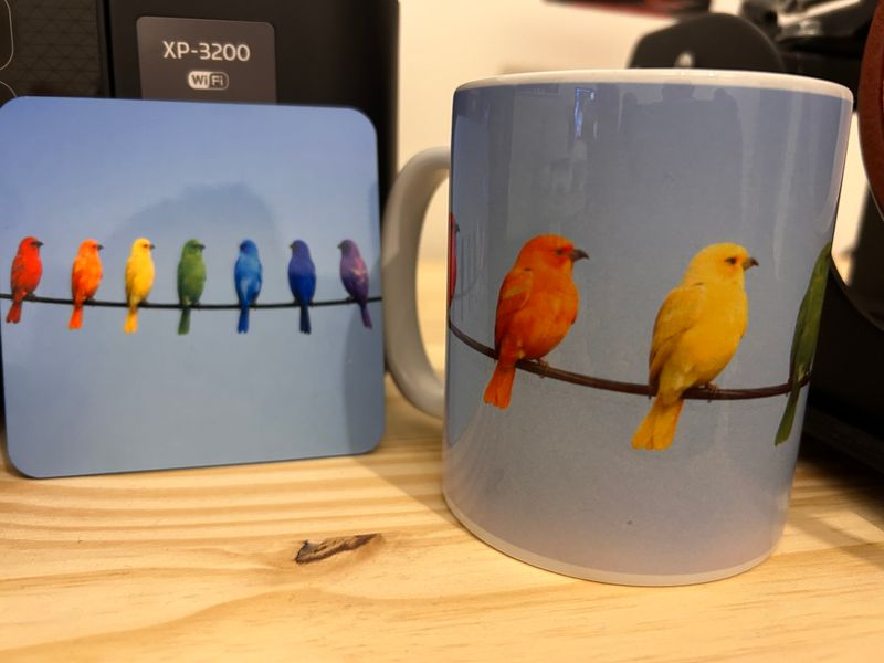 Rainbow Birds on a wire mug and coaster set