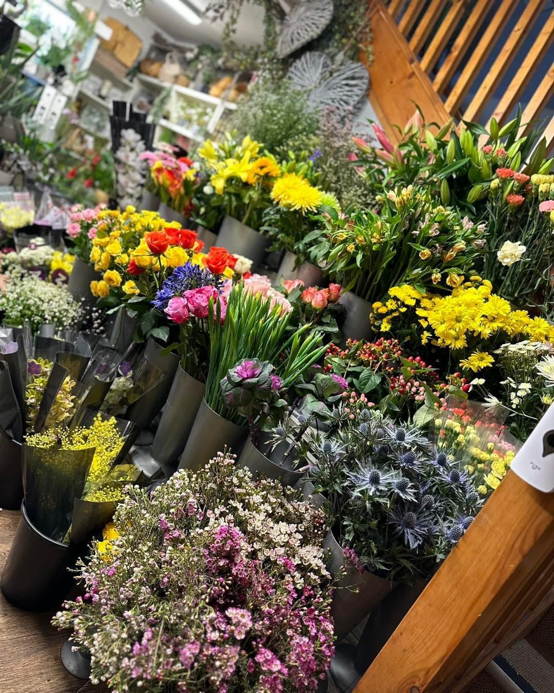 3 Month Subscription 3 Month Subscription