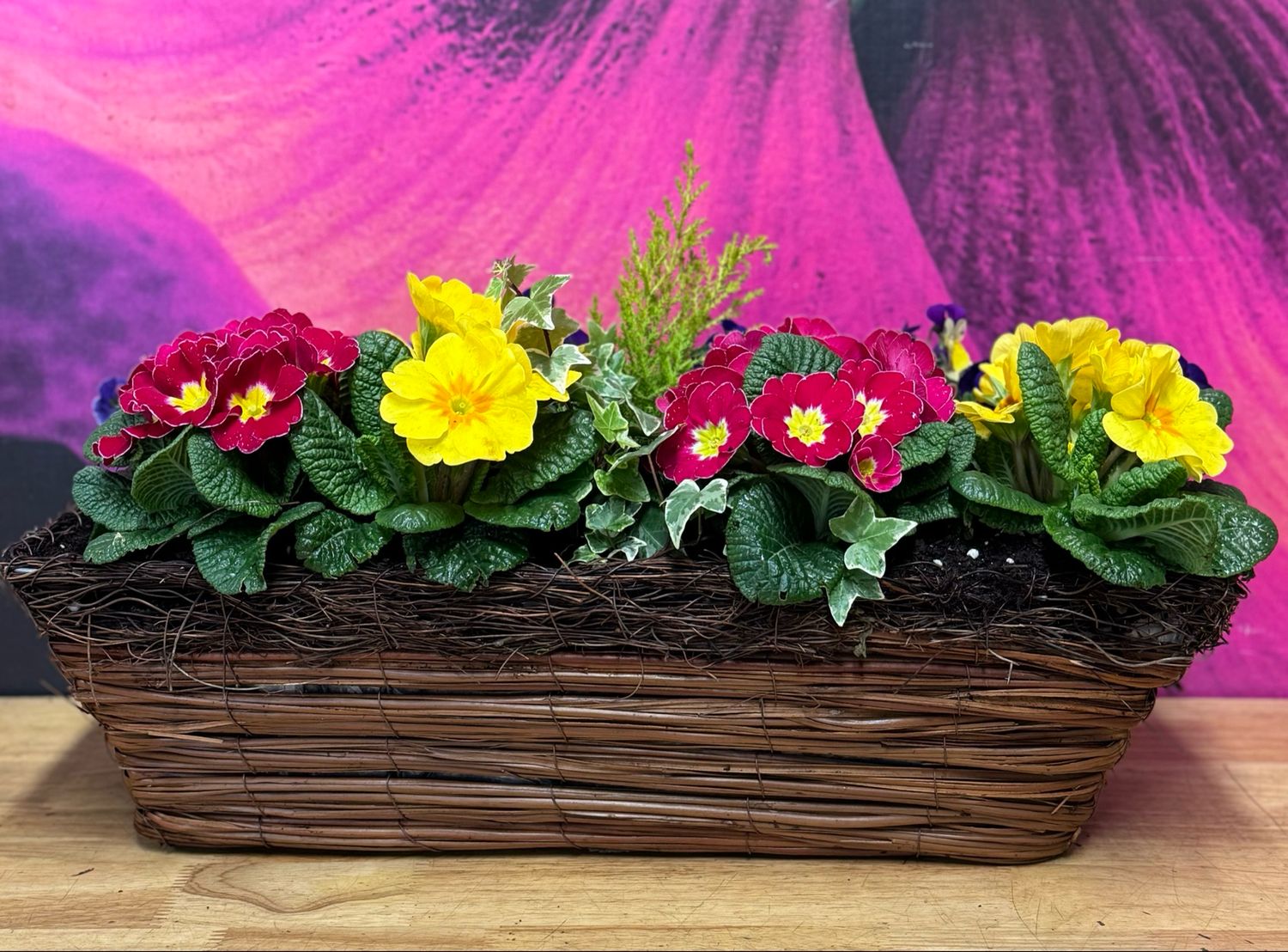 Wicker Window Planter