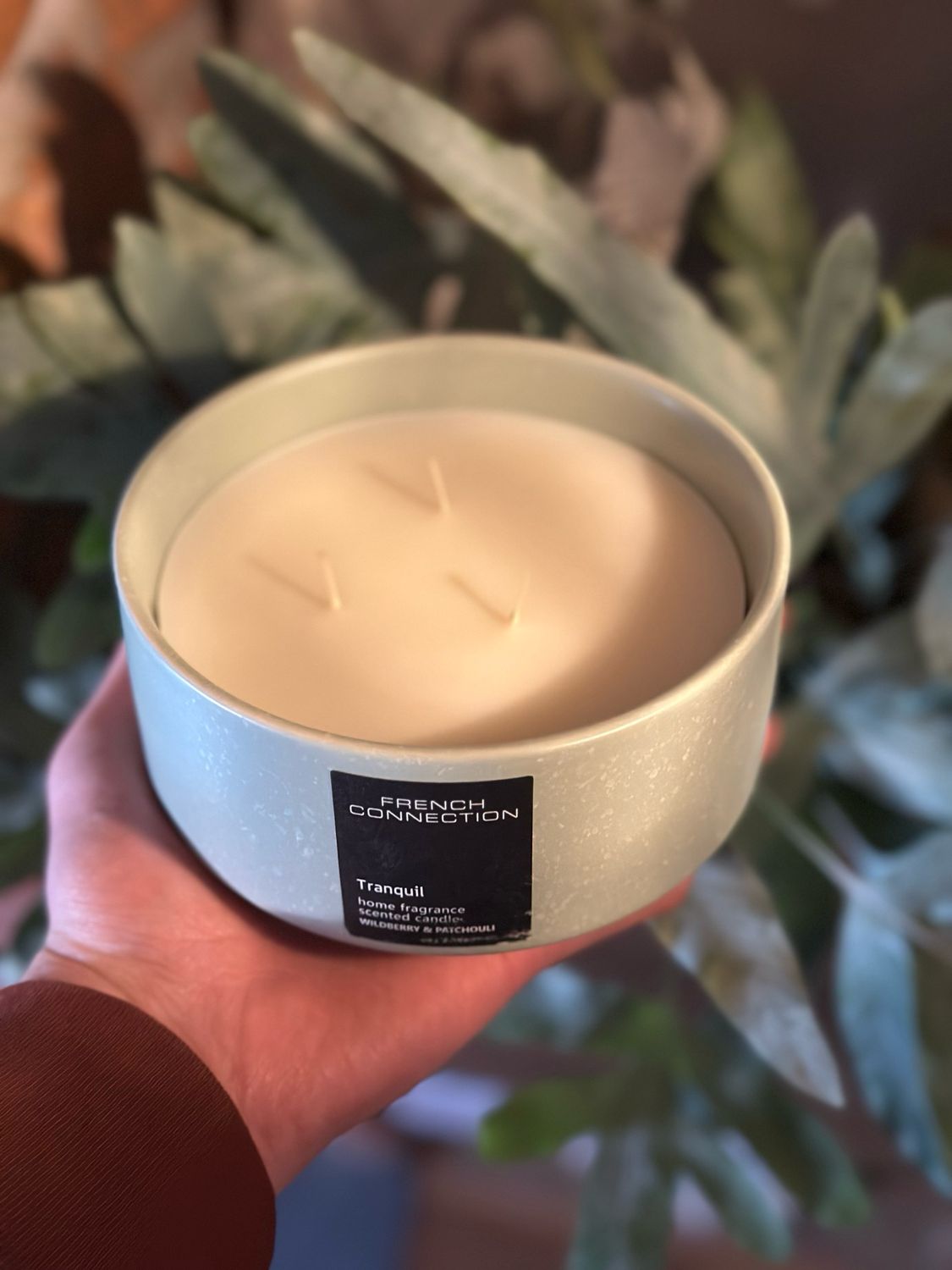 FRENCH CONNECTION Tranquil ( Wildberry & Patchouli )