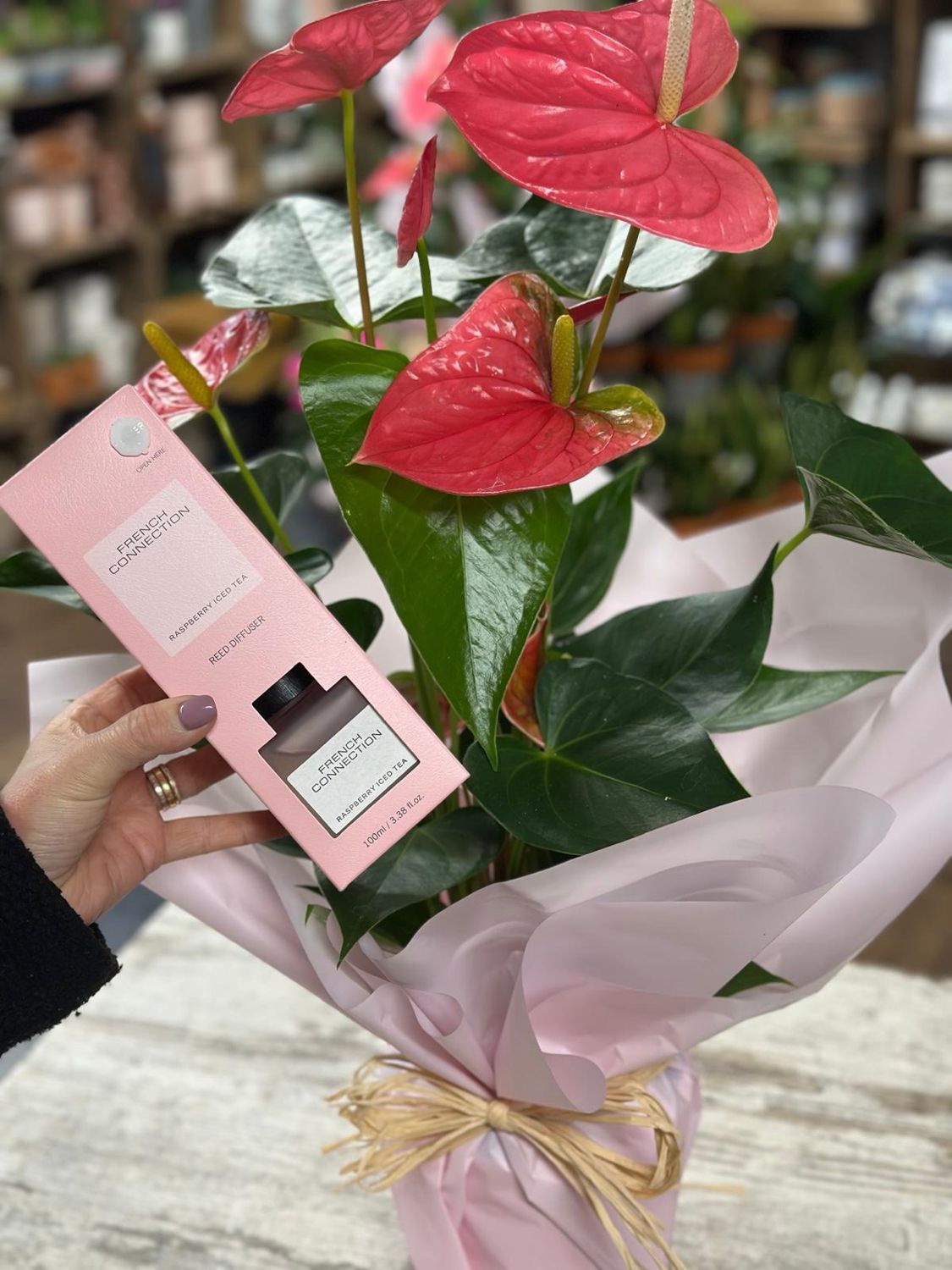 Anthurium (Potted) & Raspberry Iced Tea Reed Diffuser