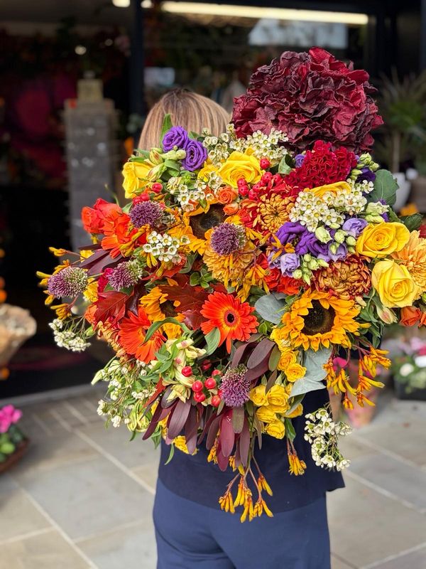 The Autumn Edit ?