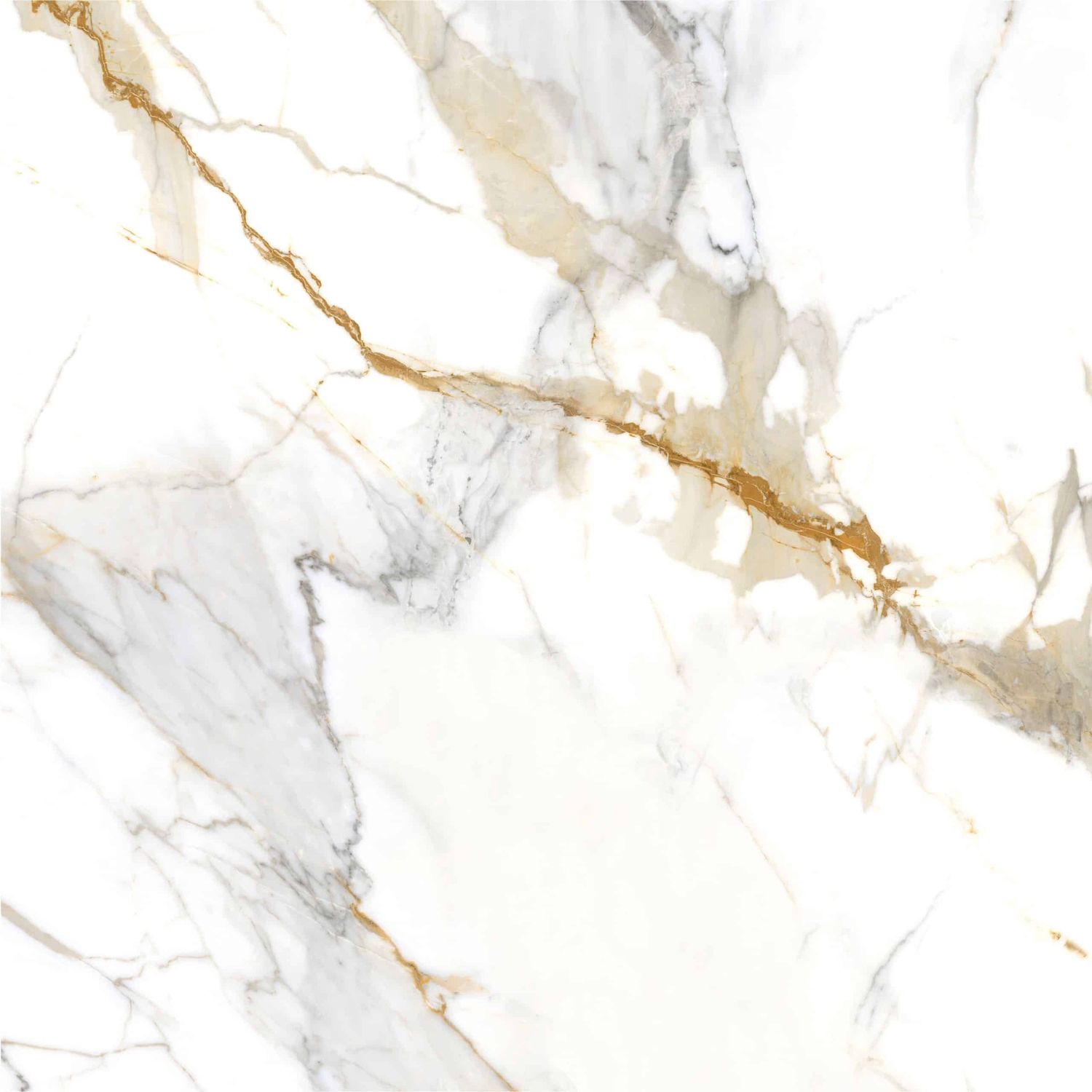 Roma Gold 24x48 (16 SF)