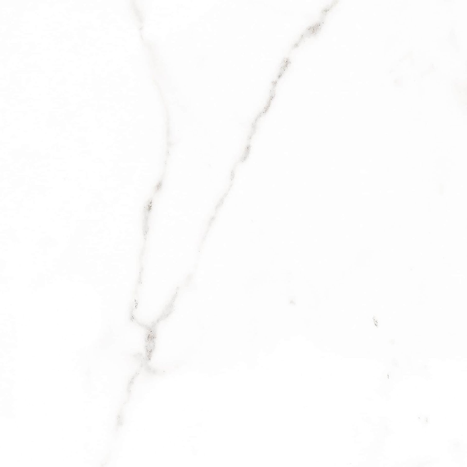 Palatina Blanco Brillo, Size: 12x24 (16 SF)