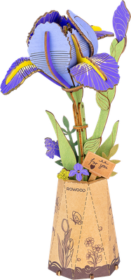 Robotime Purple Iris