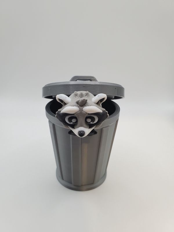 Trash Panda
