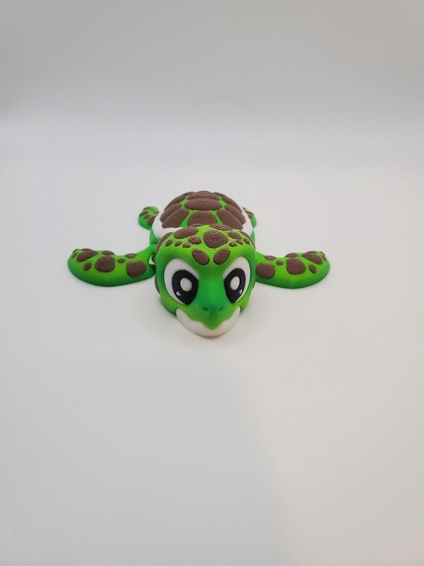 Sea Turtle