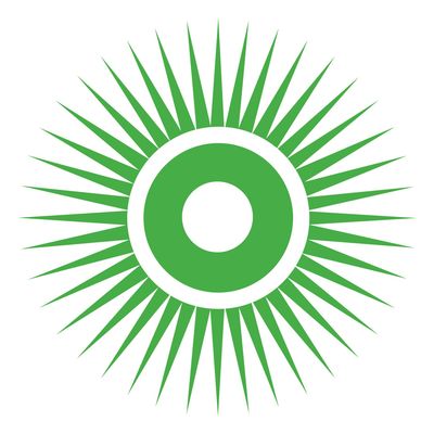 Chlorella Mikroalgen / Moringa Oleifera