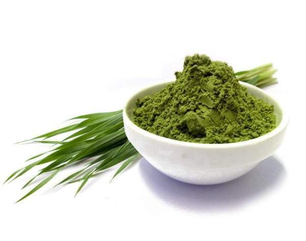 Bio Gerstengras-pulver, Rohkost, kbA, 250 g