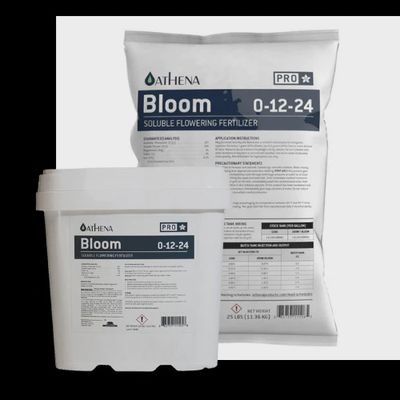 Athena Pro Line Bloom