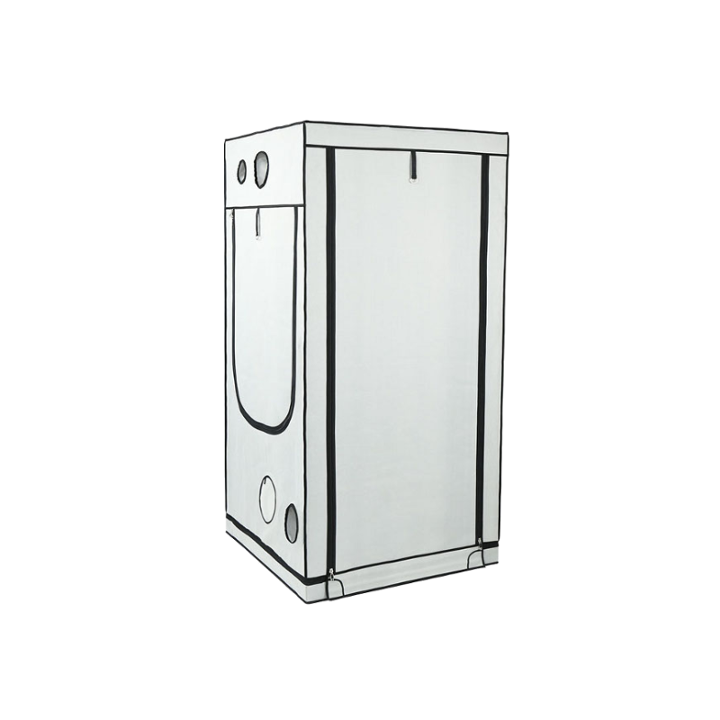 HOMEbox Ambient Q120