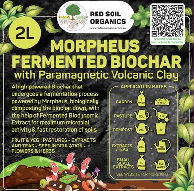 Morphues Fermented BioChar