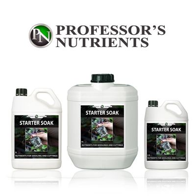 Professors Starter Soak