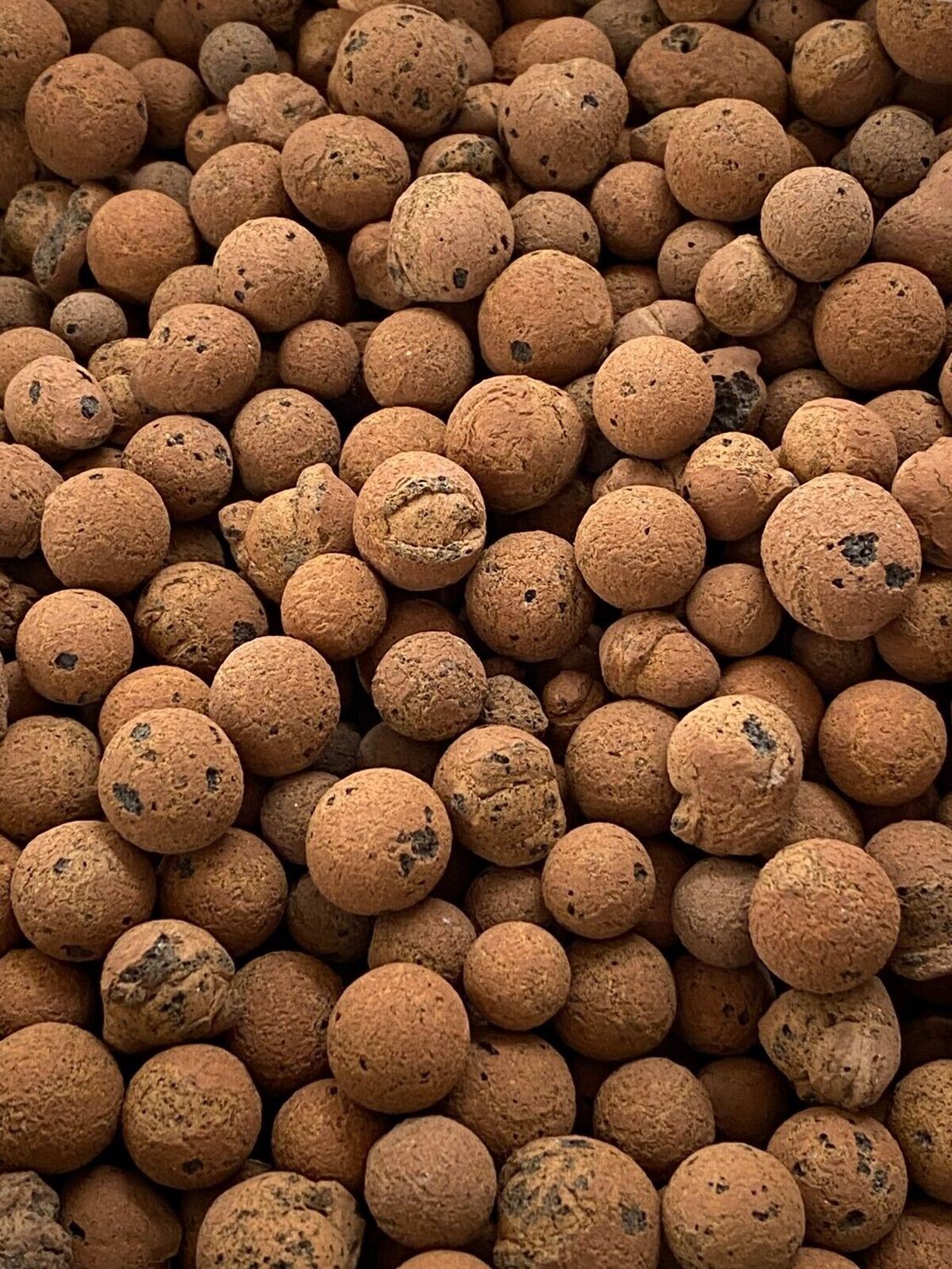 Euro Clay Balls, Size: 5 Litre