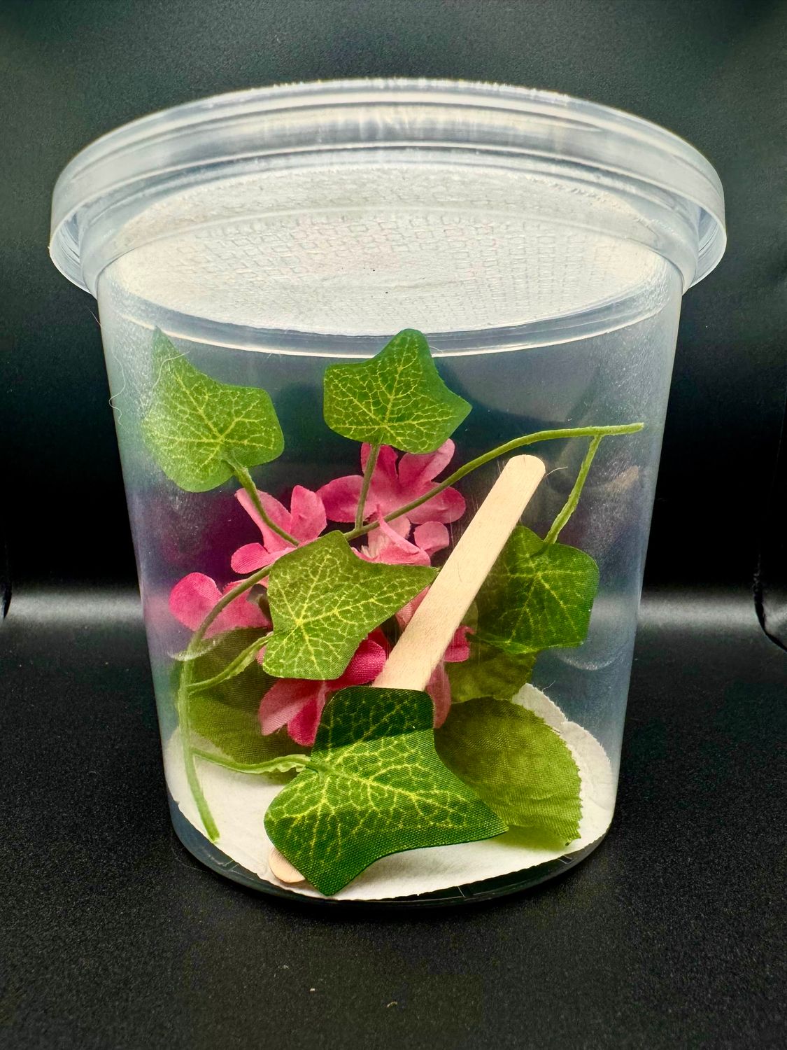 E-commerce Product Image