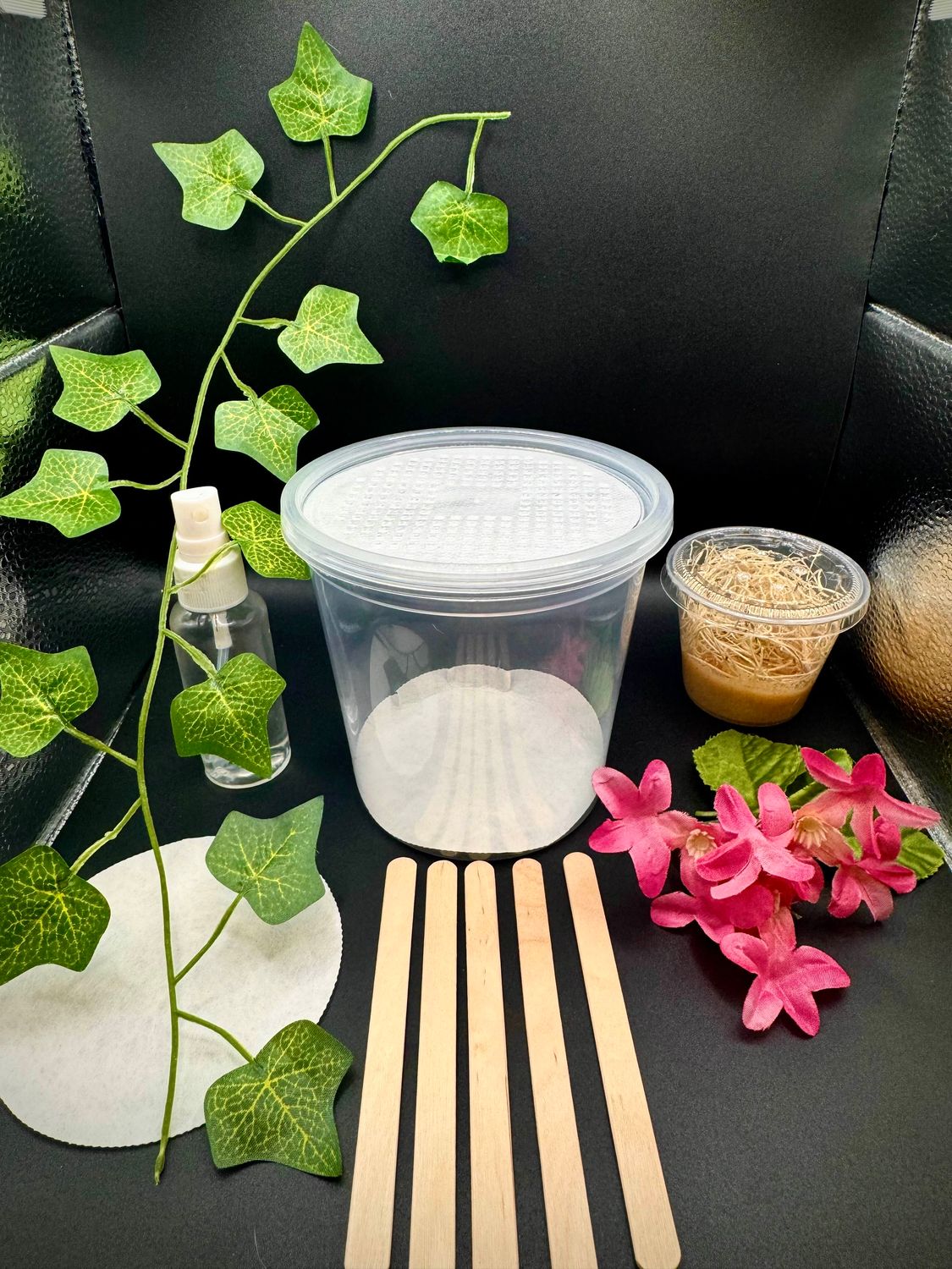 E-commerce Product Image