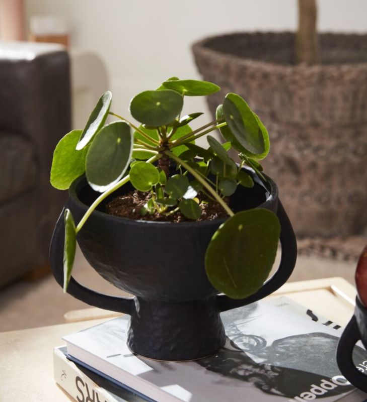 Bowl caliz negro grande