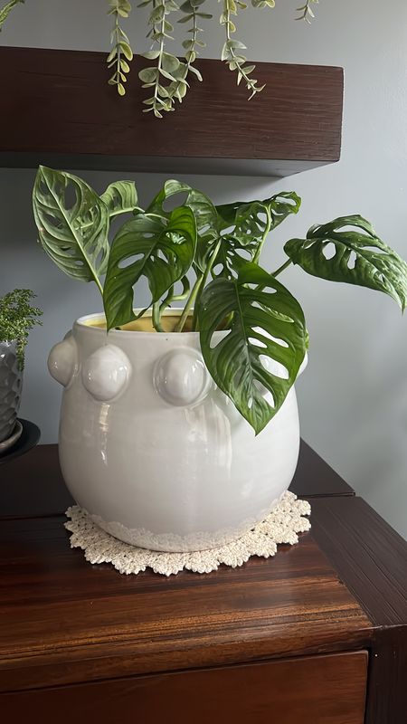 Base burbujas blancas