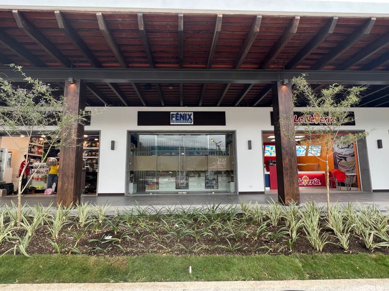 Local Farmacia Fenix