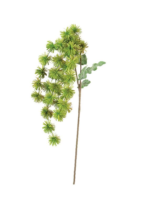 Follaje de Flores colgantes