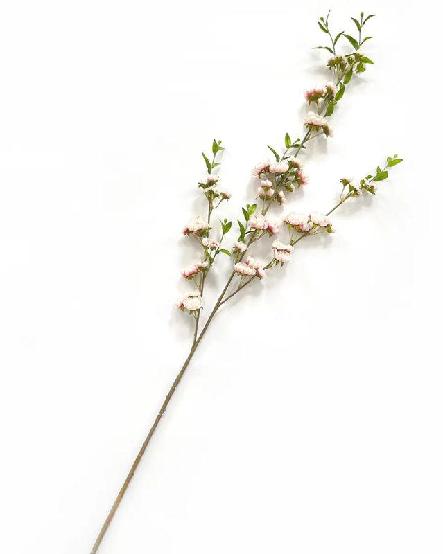 Follaje Cherry Blossom