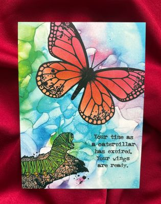 Wings - Channelled Postcard