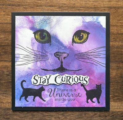 “Stay Curious - There is a Universe inside you“- Greeting Cards Just for Fun