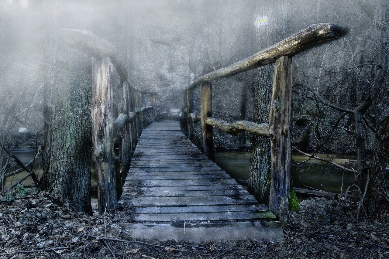 Facing The Bridge