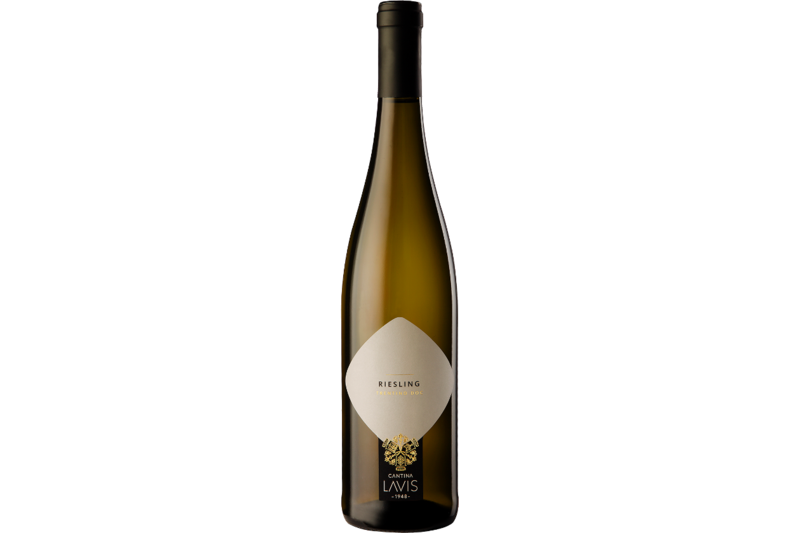 2023er Riesling Trentino D.O.C.