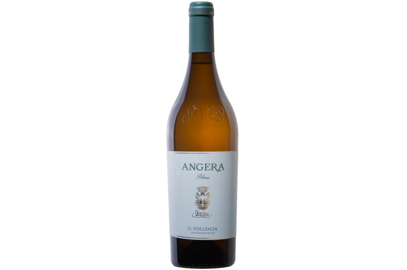 2022er Angera bianco Colli Maceratesi D.O.C.