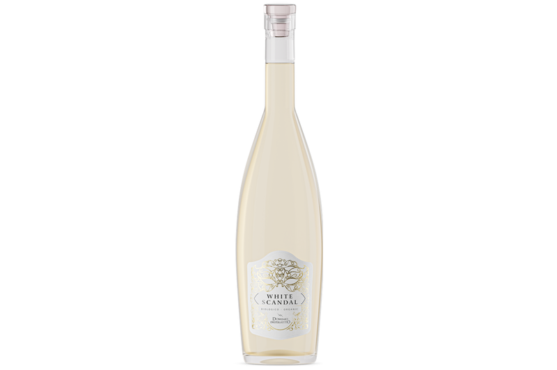 2024er White Scandal Dominio Imperfetto