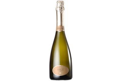 Spumante brut Millesimato