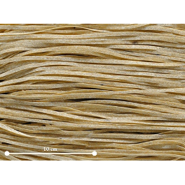 Fettuccine mit Steinpilzen Maroni Marilungo