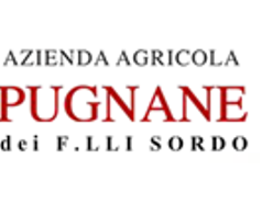 Prugnane